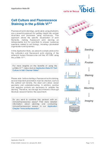 ibidi µ-Slide 細胞培養＆免疫蛍光染色
