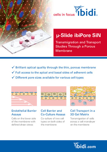 Product Flyer µ-Slide ibiPore SiN