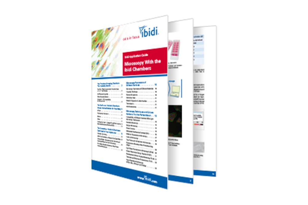 Microscopy With the ibidi Chambers