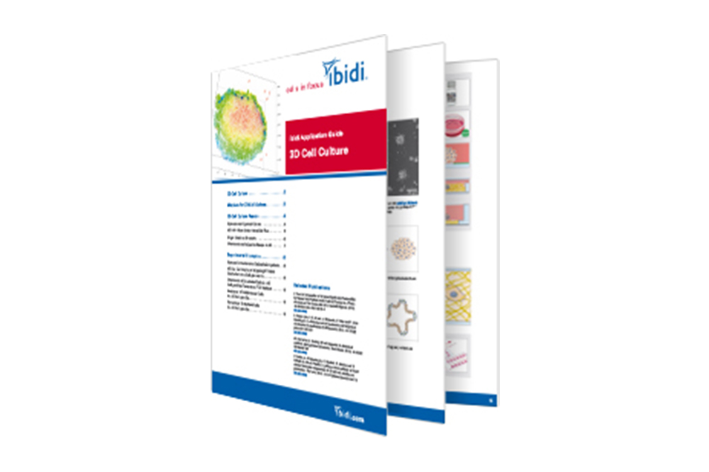 3D Cell Culture
