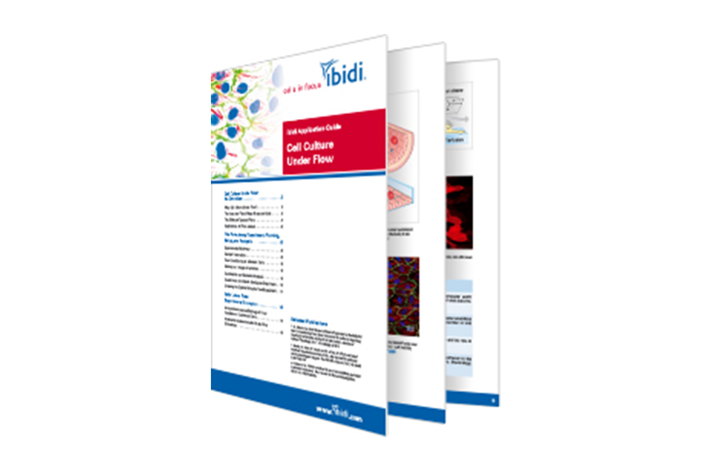 Cell Culture Under Flow