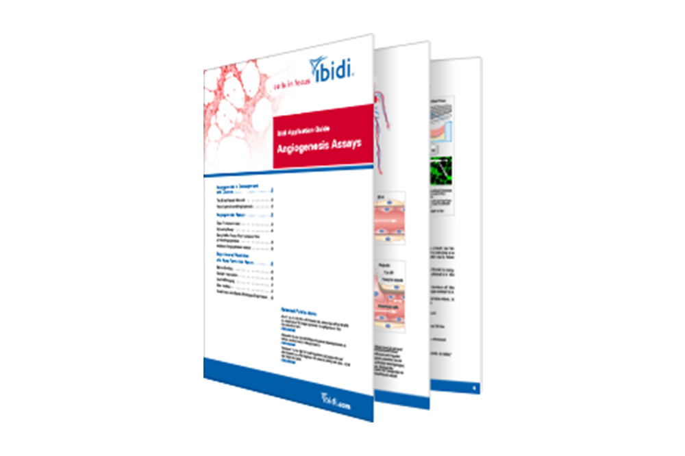 Angiogenesis Assays