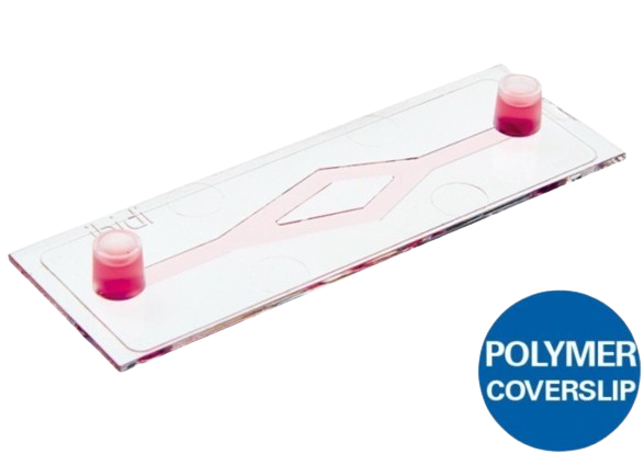 &mu;-Slide y-shaped