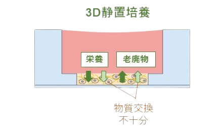 長期３D培養図1