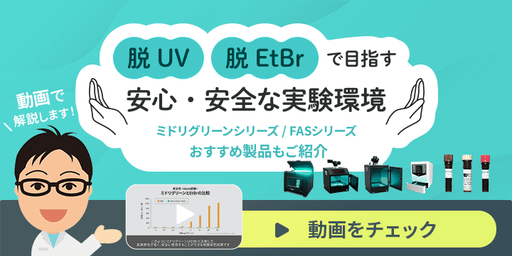 脱EtBr・脱UVで目指す安心・安全な実験環境 （ミドリグリーンシリーズ / FASシリーズ）