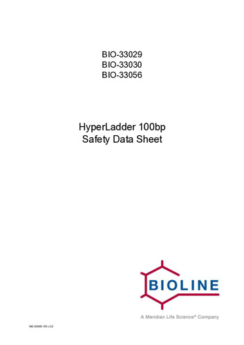 HyperLadder 100bp