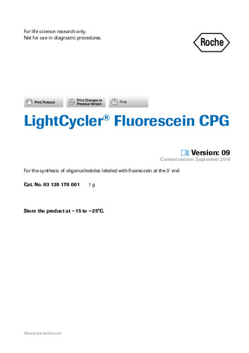 LightCycler® Fluorescein CPG