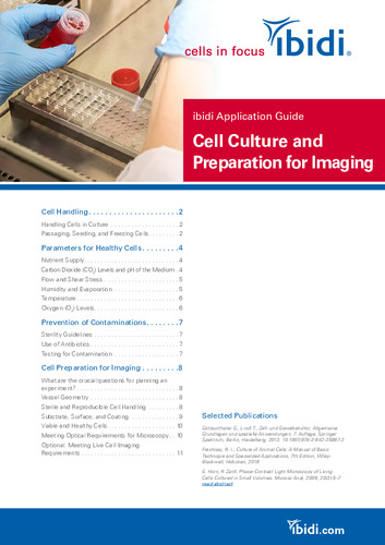 Cell Culture and Preparation for Imaging 