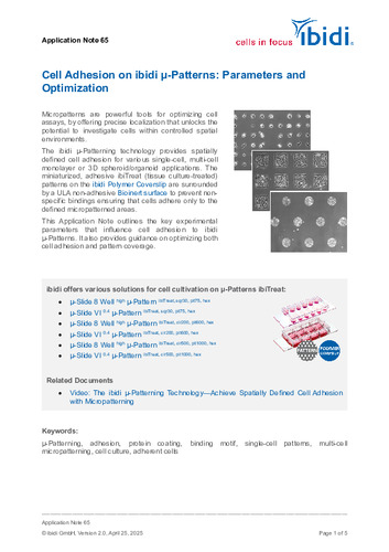 Cell Adhesion on ibidi μ-Patterns: Parameters and Optimization 