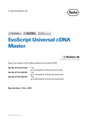 EvoScript Universal cDNA Master