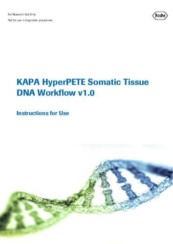 KAPA HyperPETE Somatic Tissue DNA Workflow v1.0