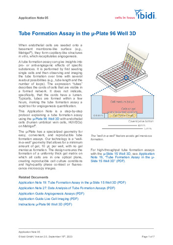 Tube Formation in µ-Plate 96 Well 3D