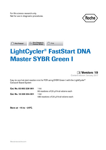 LightCycler® FastStart DNA Master SYBR Green I ver19