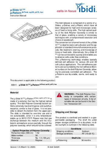 μ-Slide VI 0.4 μ-Pattern ibiTreat,sqr30,pit75,hex Instruction Manual
