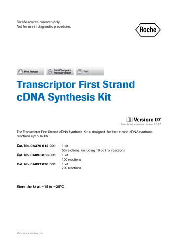 Transcriptor First Strand cDNA Synthesis Kit ver.7