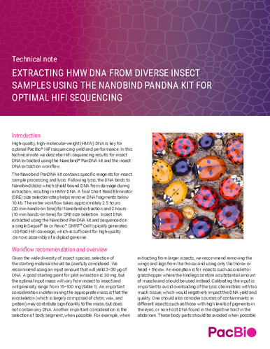 Extracting HMW DNA from diverse insect samples using the Nanobind PanDNA kit for optimal HiFi sequencing