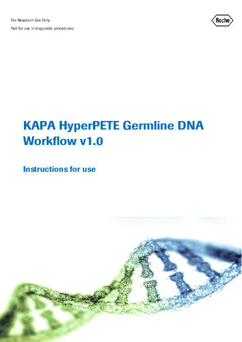 KAPA HyperPETE Germline Workflow v1.0.pd