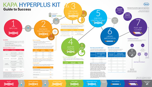 KAPA HyperPlus Kits Guide to Success v5