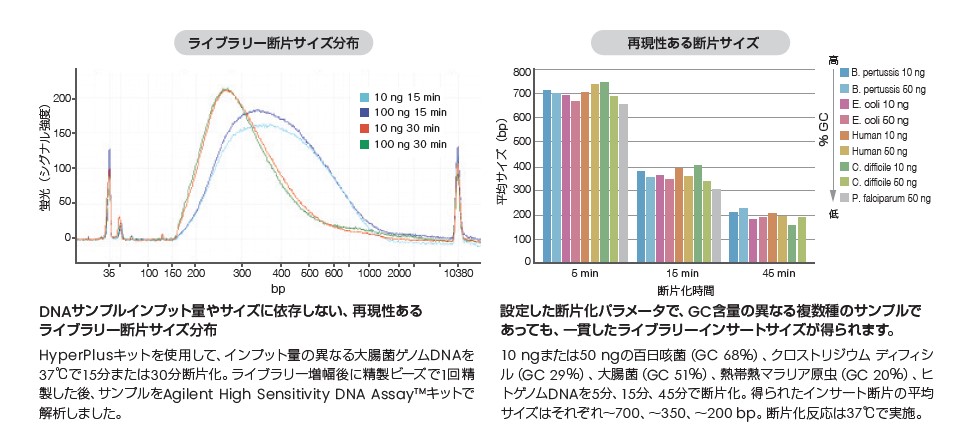 サイズ調節が可能で再現性の高い酵素による断片化