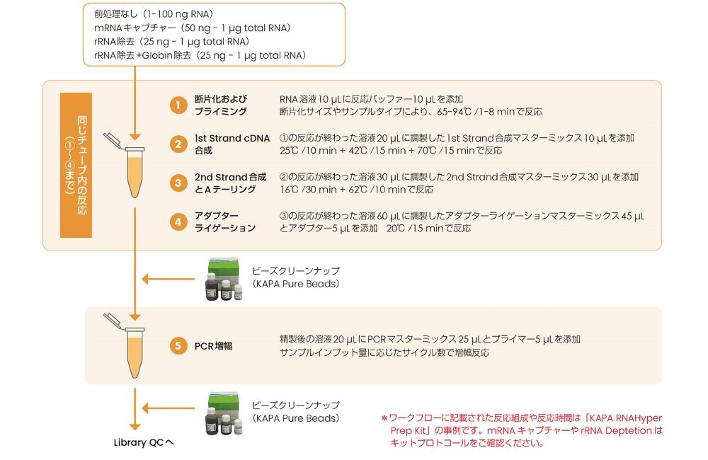 KAPA RNA HyperPrep Kitワークフロー