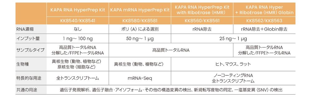 さまざまなストランド特異的アプリケーションに使用可能