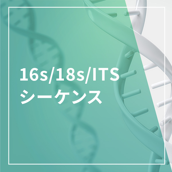 標本まとめ 16s/18s/ITSシーケンス｜日本ジェネティクス株式会社 | 研究用消耗品