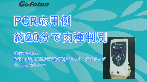 PicoGene® PCR1100事例：肉腫判定（牛豚鶏3種）PCR