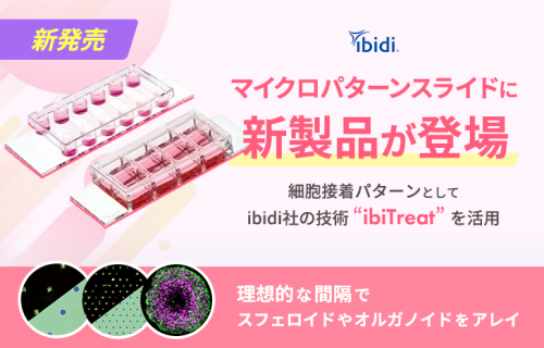 3D培養研究の強力なツール！ibidiマイクロパターンスライドに新製品が登場